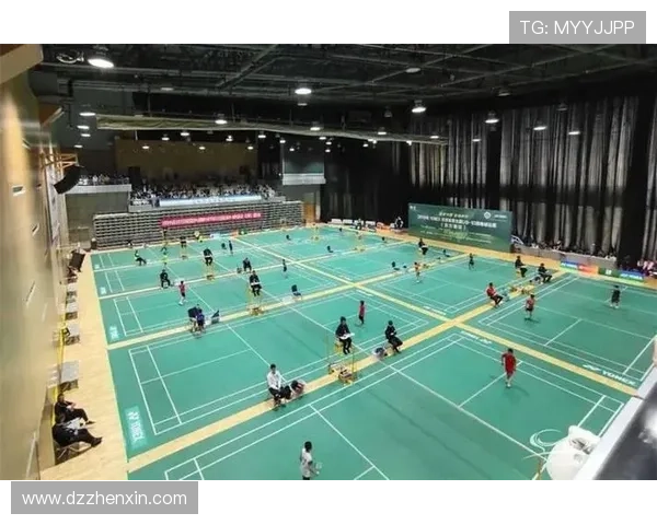 上海羽毛球队逆袭之旅揭秘从低谷到巅峰的奋斗历程与荣耀时刻