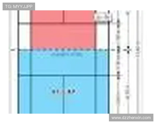 上海羽毛球队的训练与比赛节奏分析及其对羽毛球发展的影响