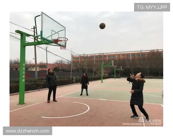 从零基础到篮球高手的全方位力量训练指南与实用技巧分享